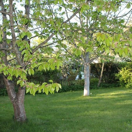 Lutzi'S Ferienwohnung Росток Экстерьер фото