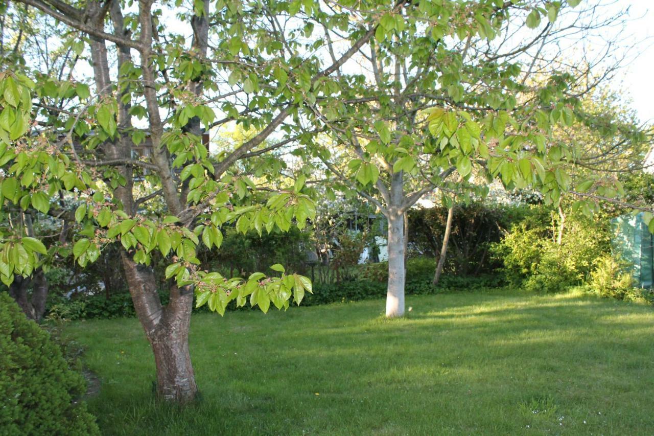 Lutzi'S Ferienwohnung Росток Экстерьер фото